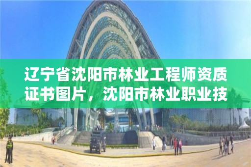 辽宁省沈阳市林业工程师资质证书图片，沈阳市林业职业技术学院