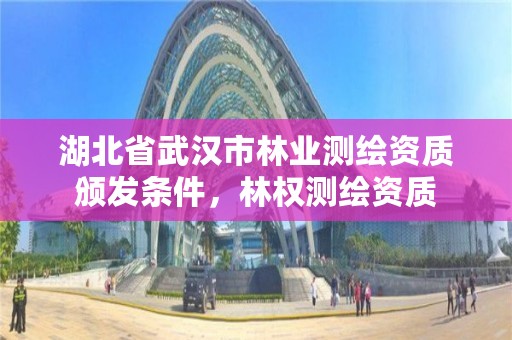 湖北省武汉市林业测绘资质颁发条件，林权测绘资质