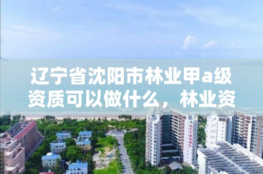 辽宁省沈阳市林业甲a级资质可以做什么，林业资质证书丙级