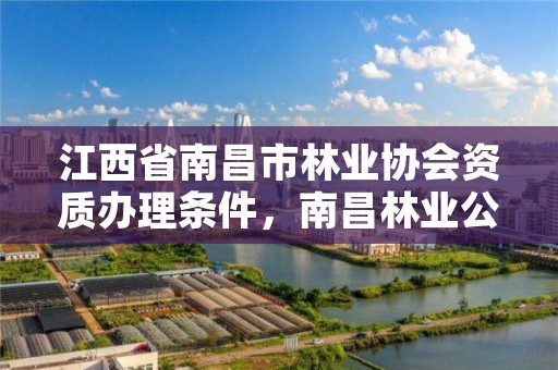 江西省南昌市林业协会资质办理条件,南昌林业公司