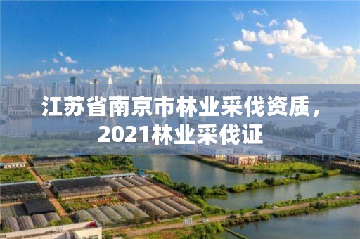 江苏省南京市林业采伐资质,2021林业采伐证