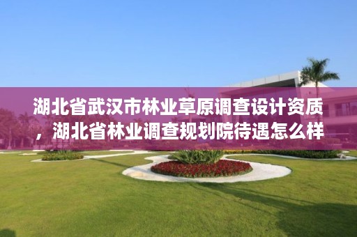 湖北省武汉市林业草原调查设计资质，湖北省林业调查规划院待遇怎么样