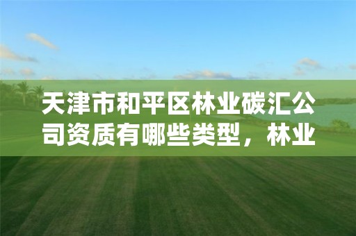 天津市和平区林业碳汇公司资质有哪些类型,林业碳汇项目pdd