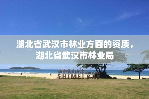 湖北省武汉市林业方面的资质，湖北省武汉市林业局