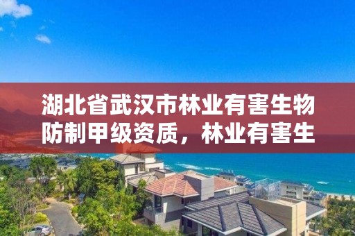 湖北省武汉市林业有害生物防制甲级资质,林业有害生物防治公司资质证书丙级