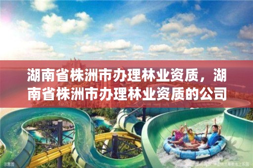 湖南省株洲市办理林业资质,湖南省株洲市办理林业资质的公司