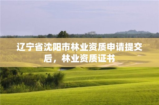 辽宁省沈阳市林业资质申请提交后，林业资质证书