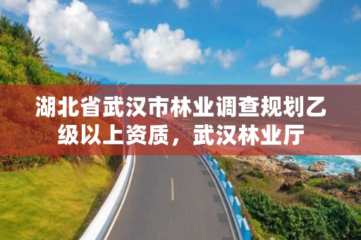 湖北省武汉市林业调查规划乙级以上资质，武汉林业厅