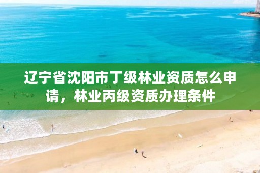 辽宁省沈阳市丁级林业资质怎么申请，林业丙级资质办理条件