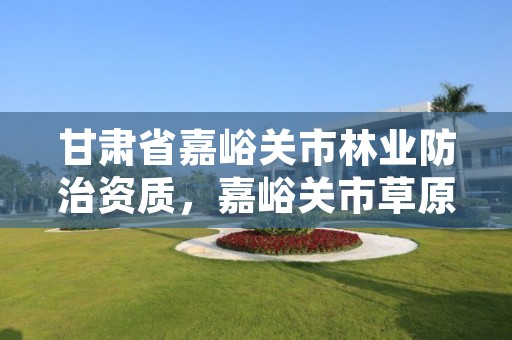 甘肃省嘉峪关市林业防治资质，嘉峪关市草原林业管理局
