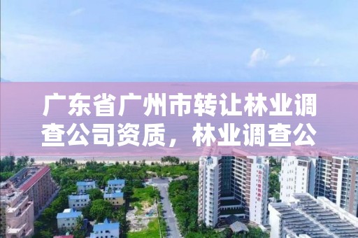 广东省广州市转让林业调查公司资质,林业调查公司干什么的