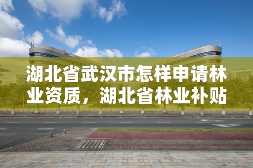 湖北省武汉市怎样申请林业资质，湖北省林业补贴政策