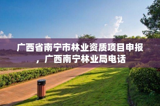 广西省南宁市林业资质项目申报,广西南宁林业局电话