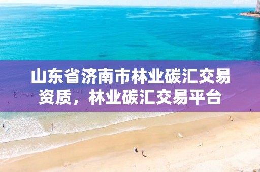 山东省济南市林业碳汇交易资质,林业碳汇交易平台