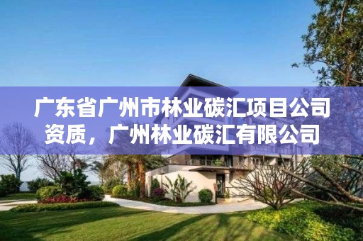 广东省广州市林业碳汇项目公司资质,广州林业碳汇有限公司