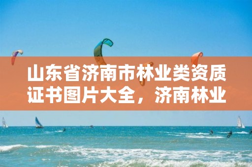 山东省济南市林业类资质证书图片大全,济南林业公司