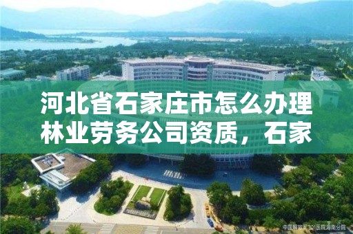 河北省石家庄市怎么办理林业劳务公司资质,石家庄林业局在哪
