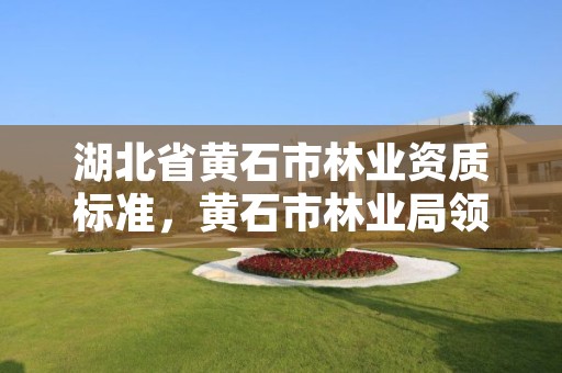 湖北省黄石市林业资质标准，黄石市林业局领导班子
