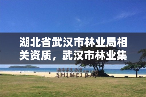 湖北省武汉市林业局相关资质，武汉市林业集团公司官网