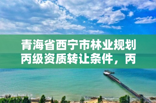 青海省西宁市林业规划丙级资质转让条件,丙级林业规划设计资质