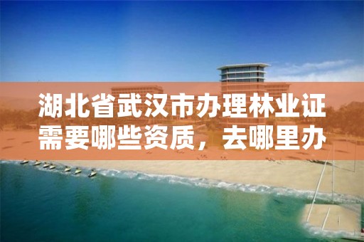 湖北省武汉市办理林业证需要哪些资质，去哪里办林业证