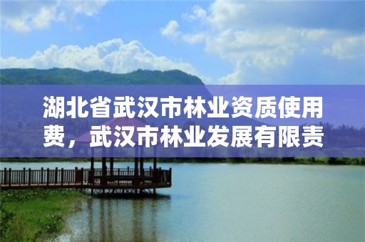 湖北省武汉市林业资质使用费，武汉市林业发展有限责任公司