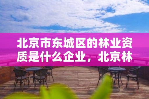 北京市东城区的林业资质是什么企业,北京林业局在哪里