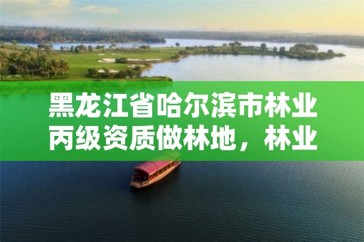 黑龙江省哈尔滨市林业丙级资质做林地,林业丙级资质办理条件