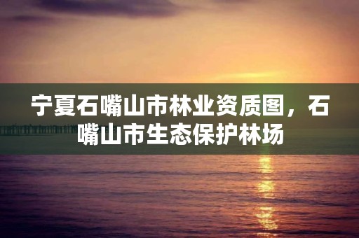 宁夏石嘴山市林业资质图，石嘴山市生态保护林场
