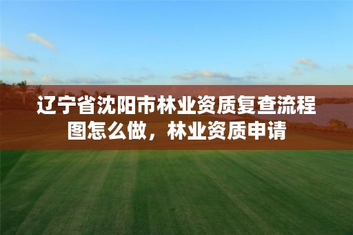 辽宁省沈阳市林业资质复查流程图怎么做,林业资质申请