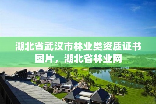 湖北省武汉市林业类资质证书图片,湖北省林业网