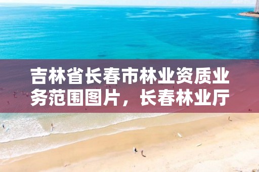 吉林省长春市林业资质业务范围图片,长春林业厅在哪里