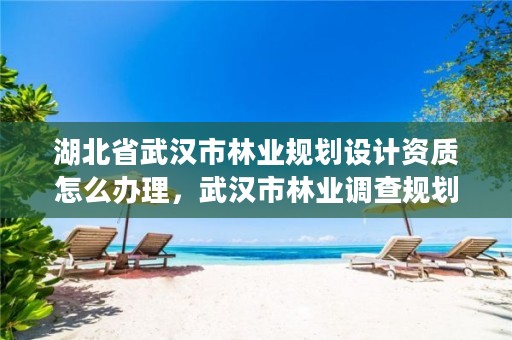 湖北省武汉市林业规划设计资质怎么办理,武汉市林业调查规划设计院怎么样