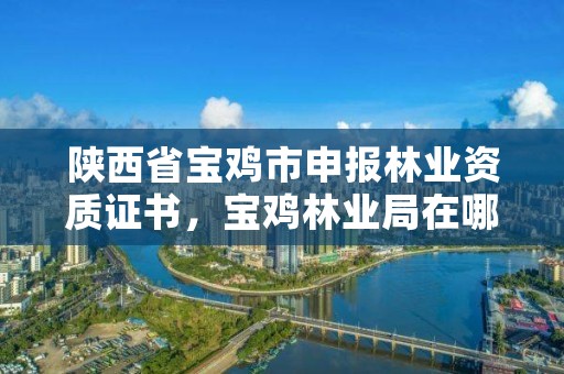 陕西省宝鸡市申报林业资质证书,宝鸡林业局在哪