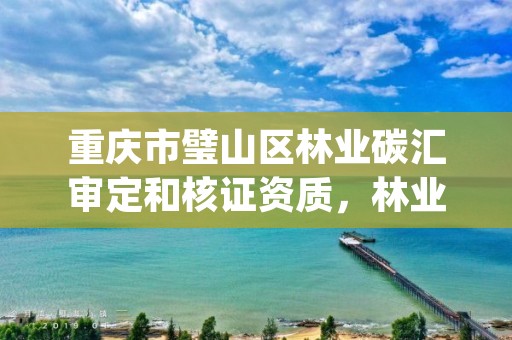 重庆市璧山区林业碳汇审定和核证资质,林业碳汇项目pdd
