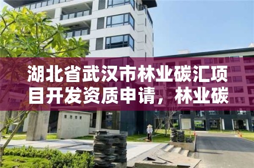 湖北省武汉市林业碳汇项目开发资质申请，林业碳汇项目审定和核证指南