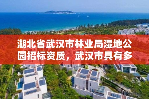 湖北省武汉市林业局湿地公园招标资质，武汉市具有多处湿地生态公园,湿地能保持水土