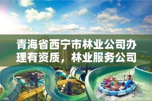 青海省西宁市林业公司办理有资质，林业服务公司资质