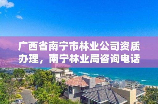 广西省南宁市林业公司资质办理,南宁林业局咨询电话