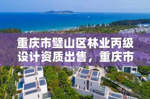 重庆市璧山区林业丙级设计资质出售,重庆市林业规划设计院怎么样