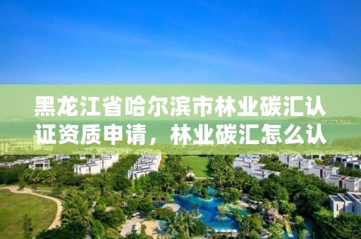 黑龙江省哈尔滨市林业碳汇认证资质申请,林业碳汇怎么认证