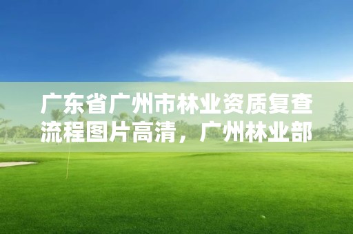 广东省广州市林业资质复查流程图片高清,广州林业部门
