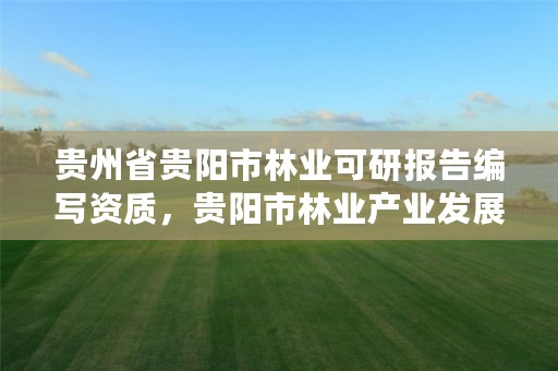 贵州省贵阳市林业可研报告编写资质,贵阳市林业产业发展有限公司