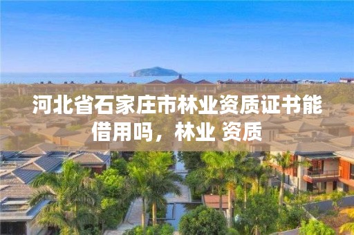 河北省石家庄市林业资质证书能借用吗,林业 资质