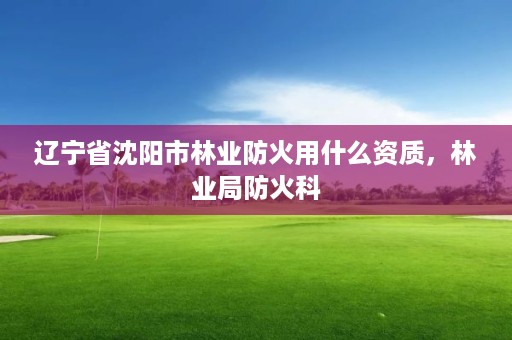 辽宁省沈阳市林业防火用什么资质，林业局防火科