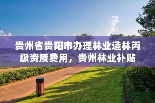 贵州省贵阳市办理林业造林丙级资质费用,贵州林业补贴