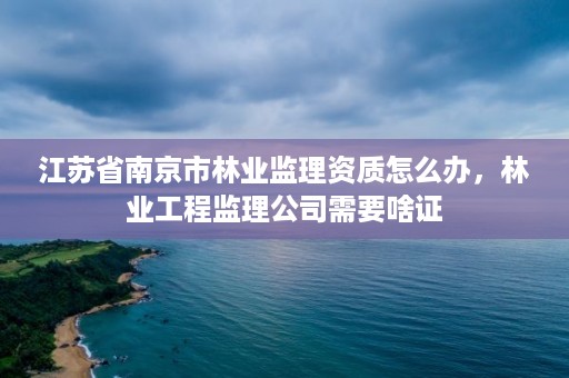 江苏省南京市林业监理资质怎么办,林业工程监理公司需要啥证