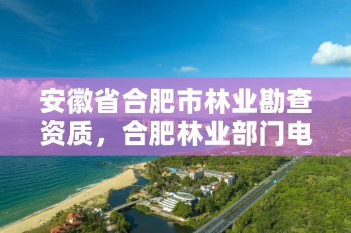 安徽省合肥市林业勘查资质,合肥林业部门电话