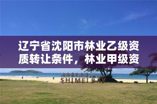 辽宁省沈阳市林业乙级资质转让条件，林业甲级资质