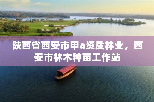 陕西省西安市甲a资质林业,西安市林木种苗工作站